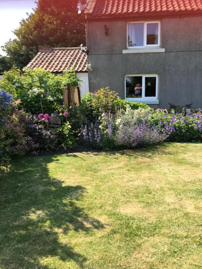 Oscar Park Farm Bed and Breakfast York Exteriör bild