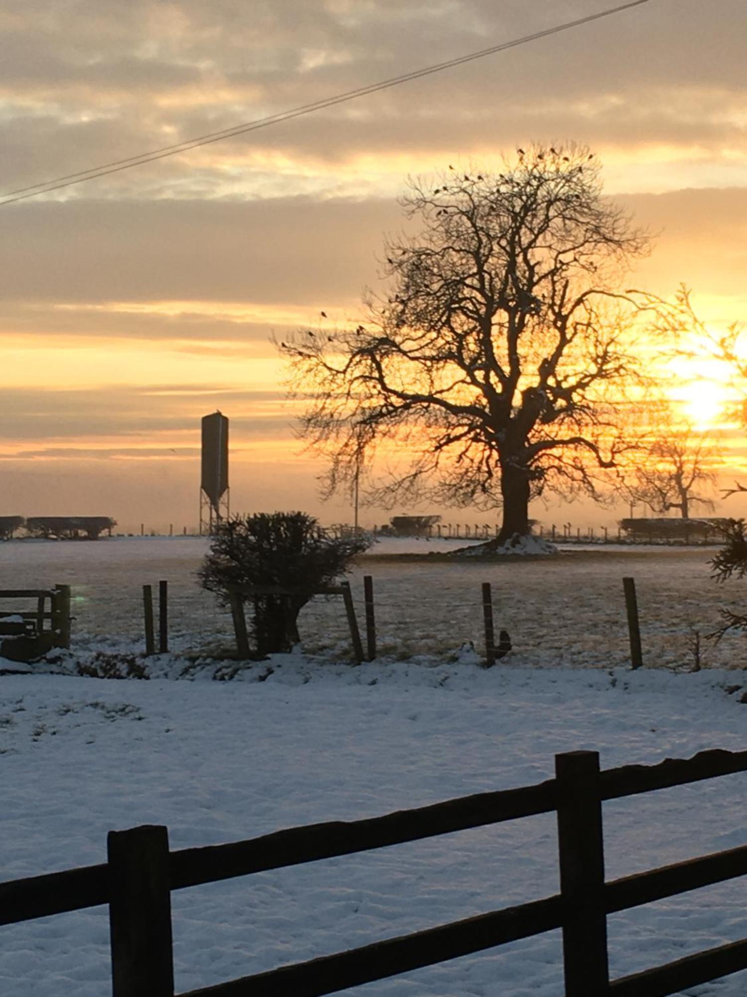 Oscar Park Farm Bed and Breakfast York Exteriör bild